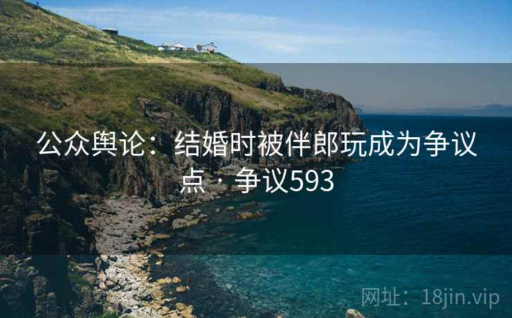公众舆论:结婚时被伴郎玩成为争议点 · 争议593